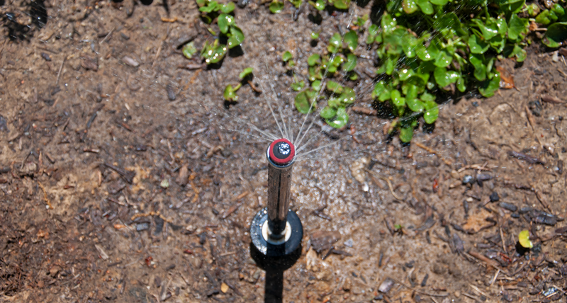 Popular Sprinkler System Upgrade: MP Rotator Nozzle