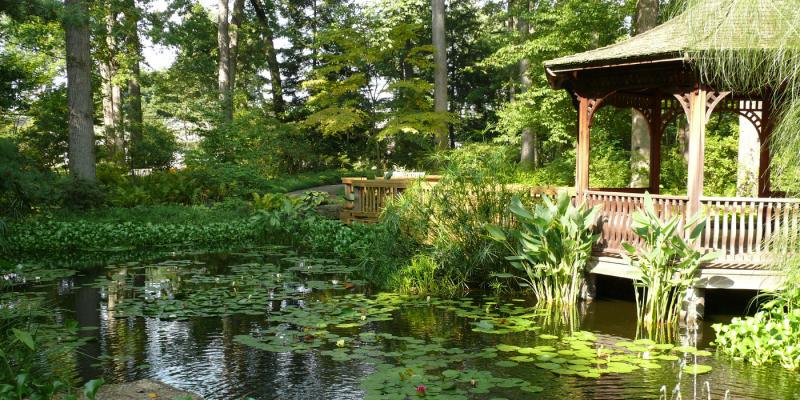 Road Trip: Visit these 5 Beautiful Gardens in Ohio