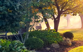 Thankful for TriState Water Works Clients