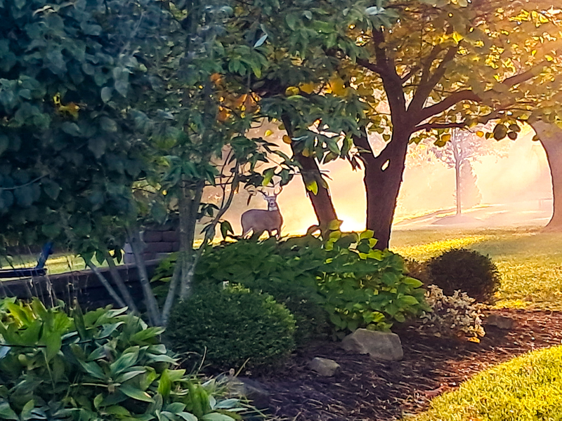 Thankful for TriState Water Works Clients