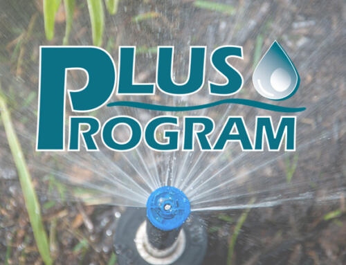 Upgrade to the Plus Program, Our Best Value