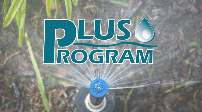 Upgrade to the Plus Program, Our Best Value