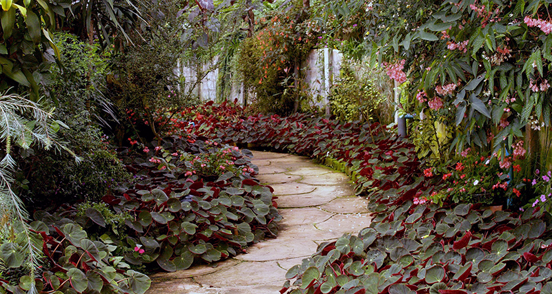 Water Conservation in Your Landscaping - Plant Densely