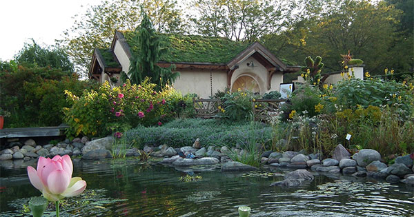 Road Trip: Visit these 5 Beautiful Gardens in Ohio